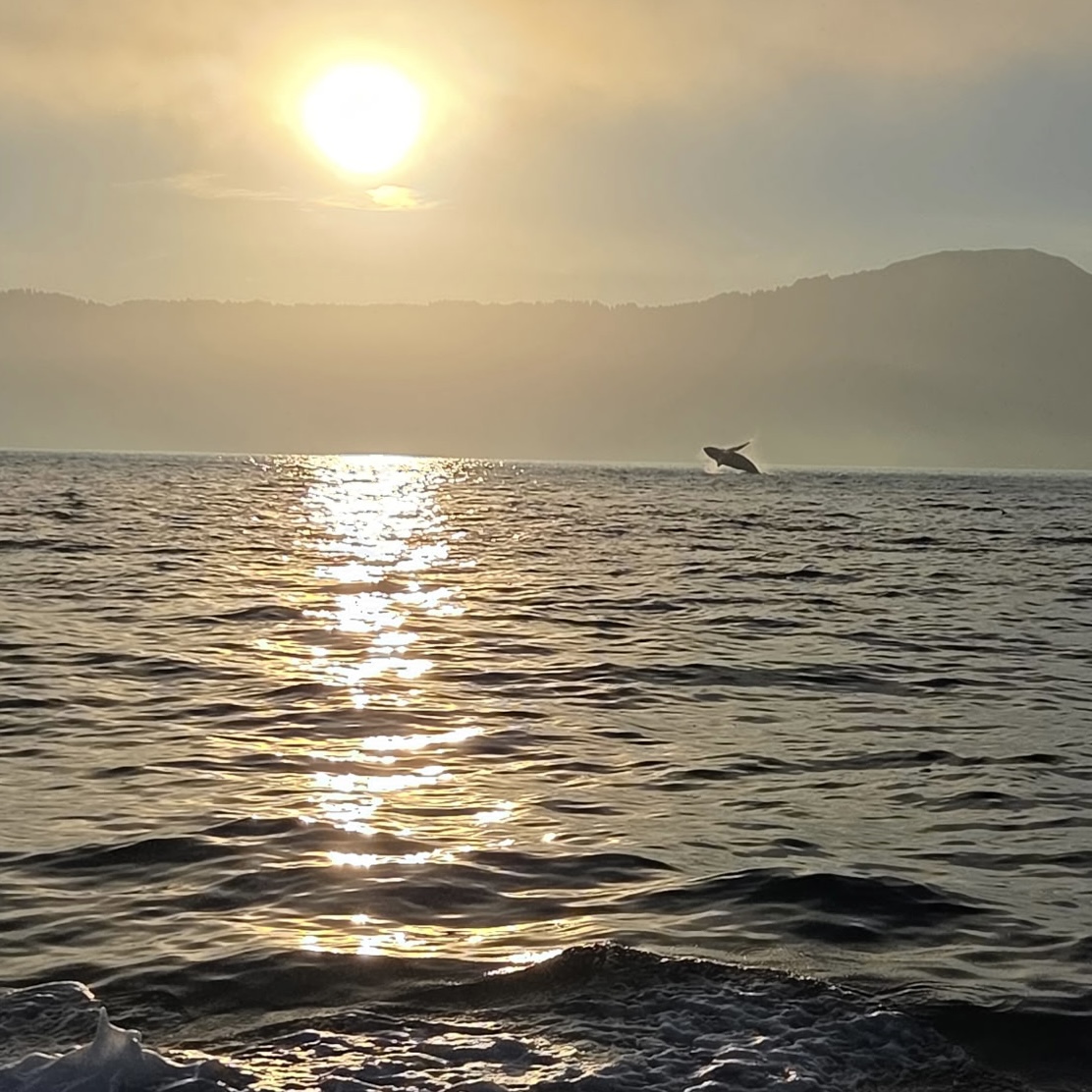 Dakota Ocean Charters
