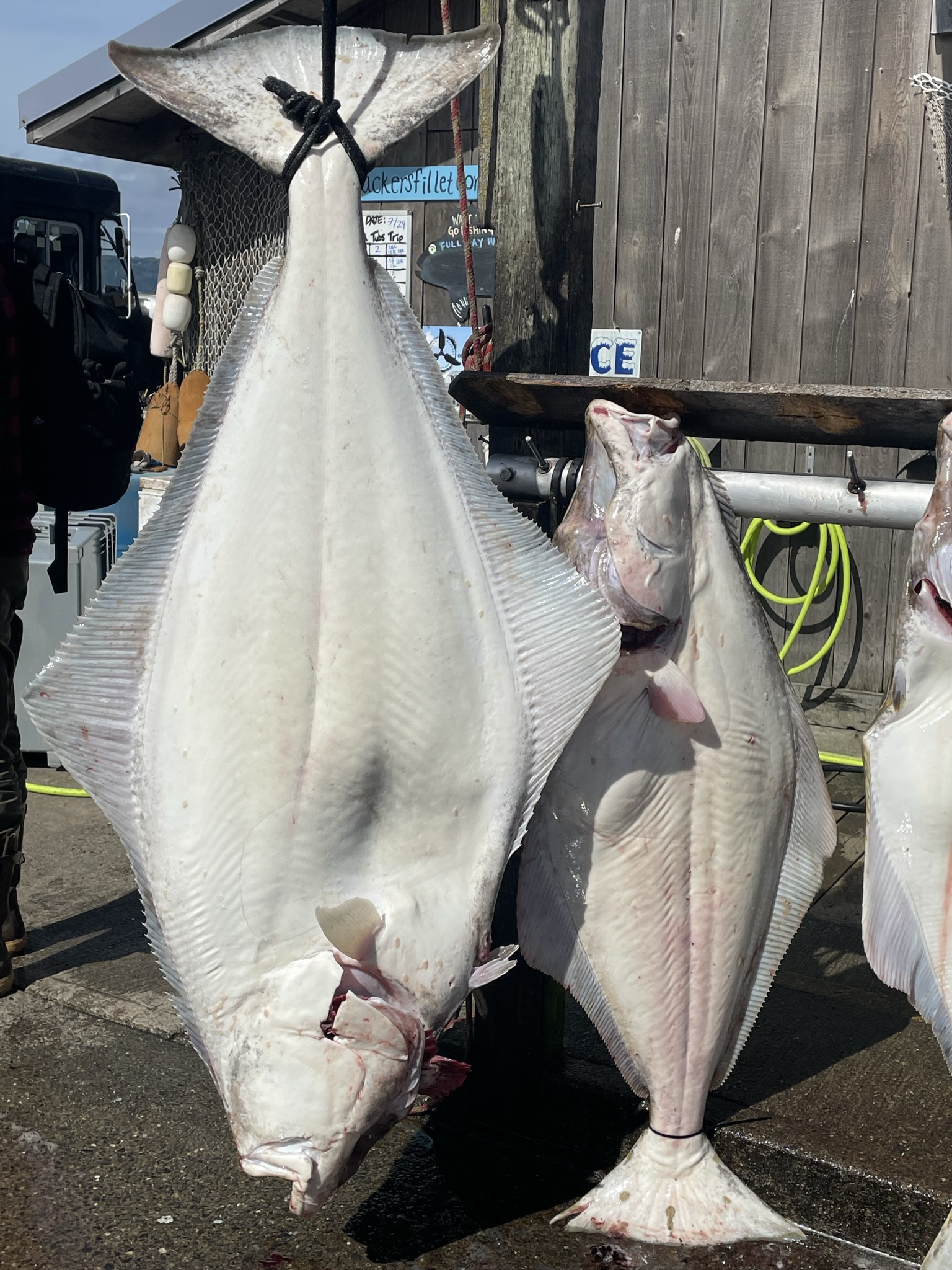 Dakota Ocean Charters
