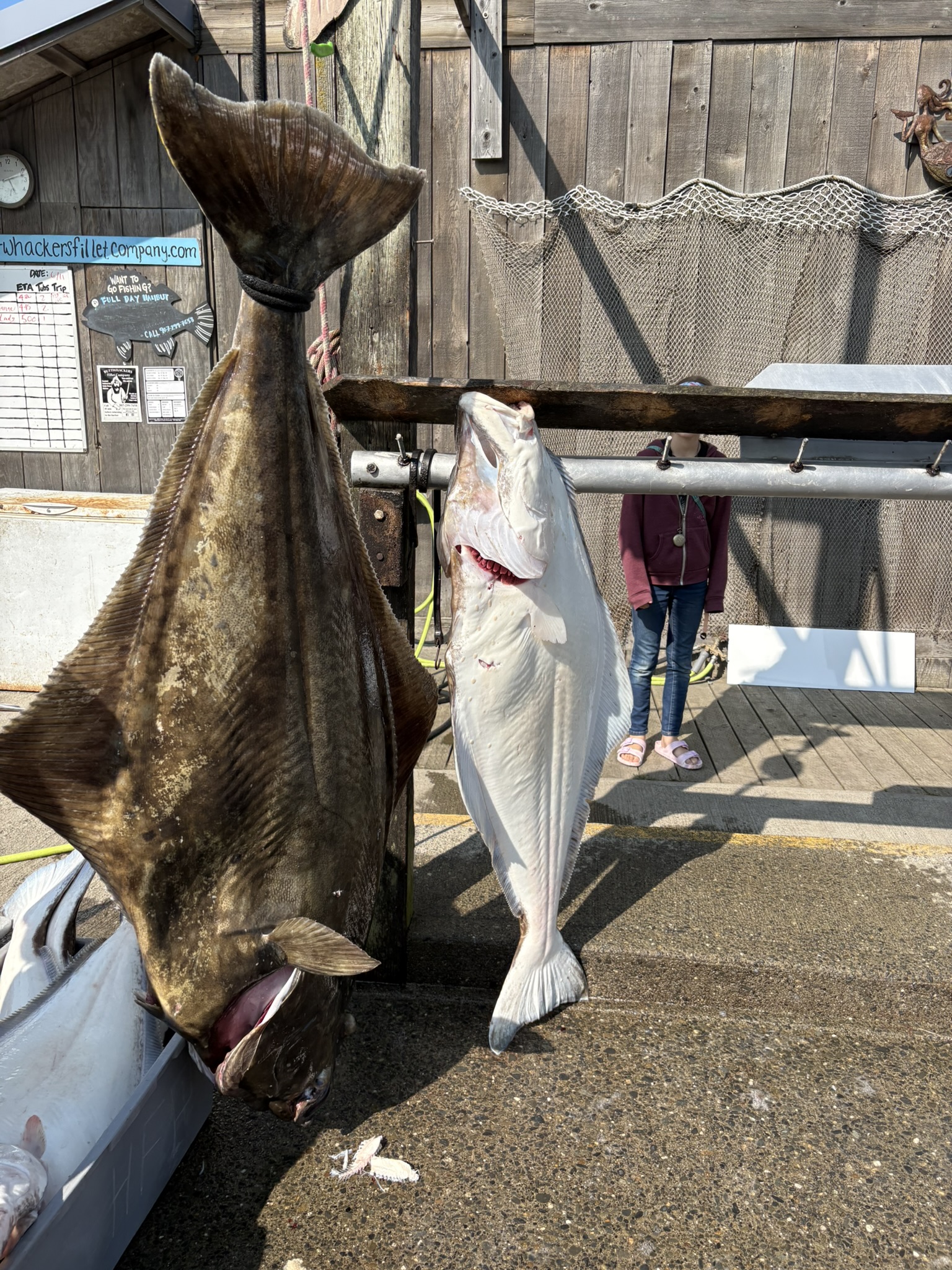 Dakota Ocean Charters