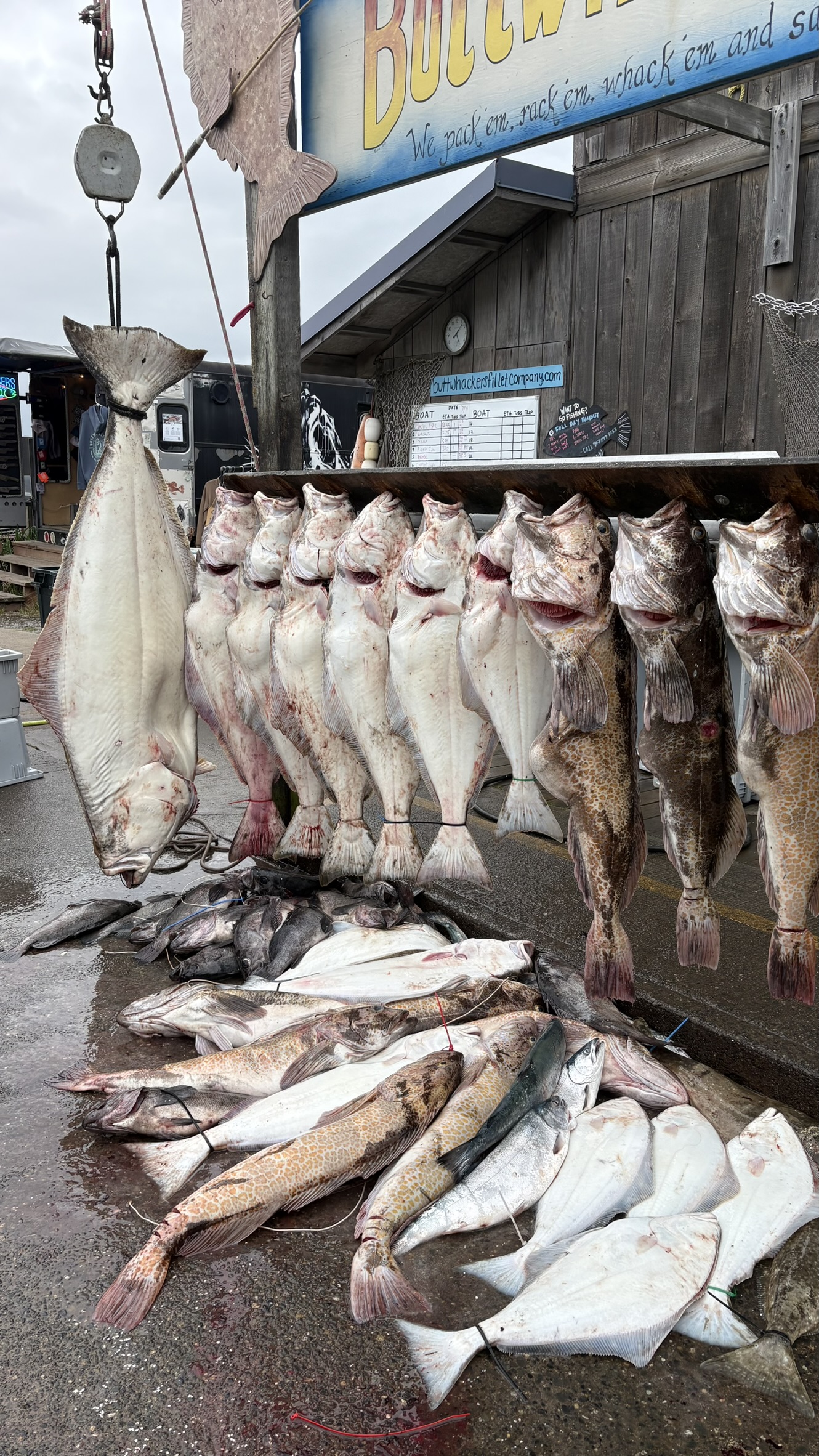 Dakota Ocean Charters