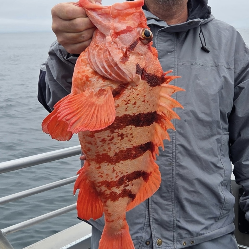 Dakota Ocean Charters